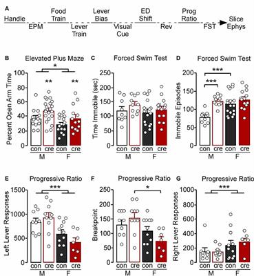 The Role of Parvalbumin Interneuron GIRK Signaling in the Regulation of Affect and Cognition in Male and Female Mice